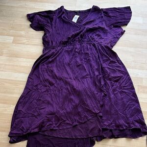 Torrid Deep Purple V-Neck Dress